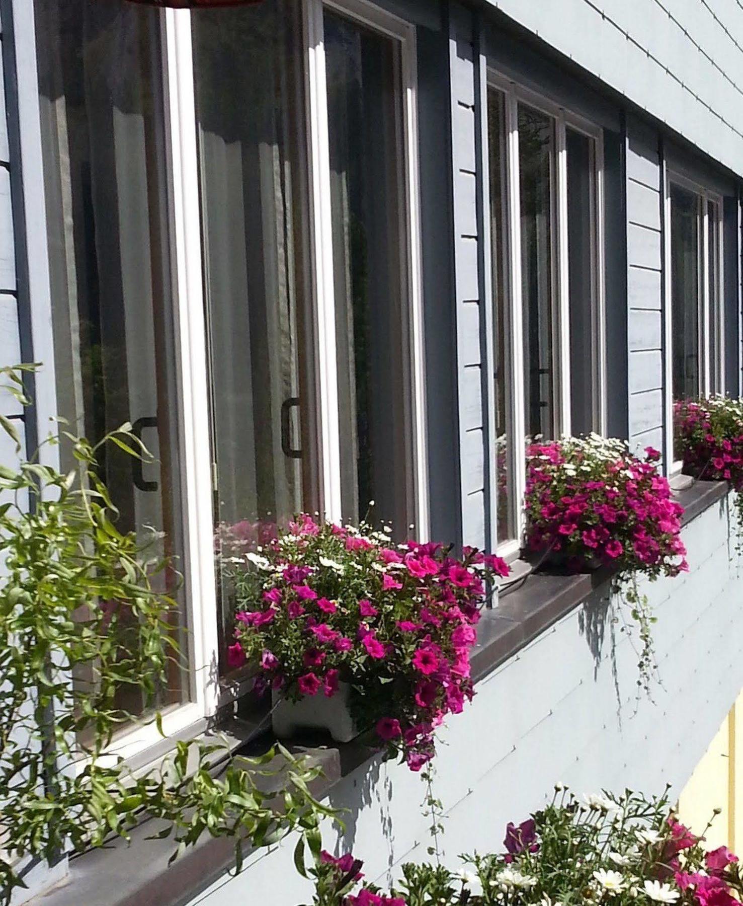 The Excelsior Ostfluegel Hotel Arosa Eksteriør billede